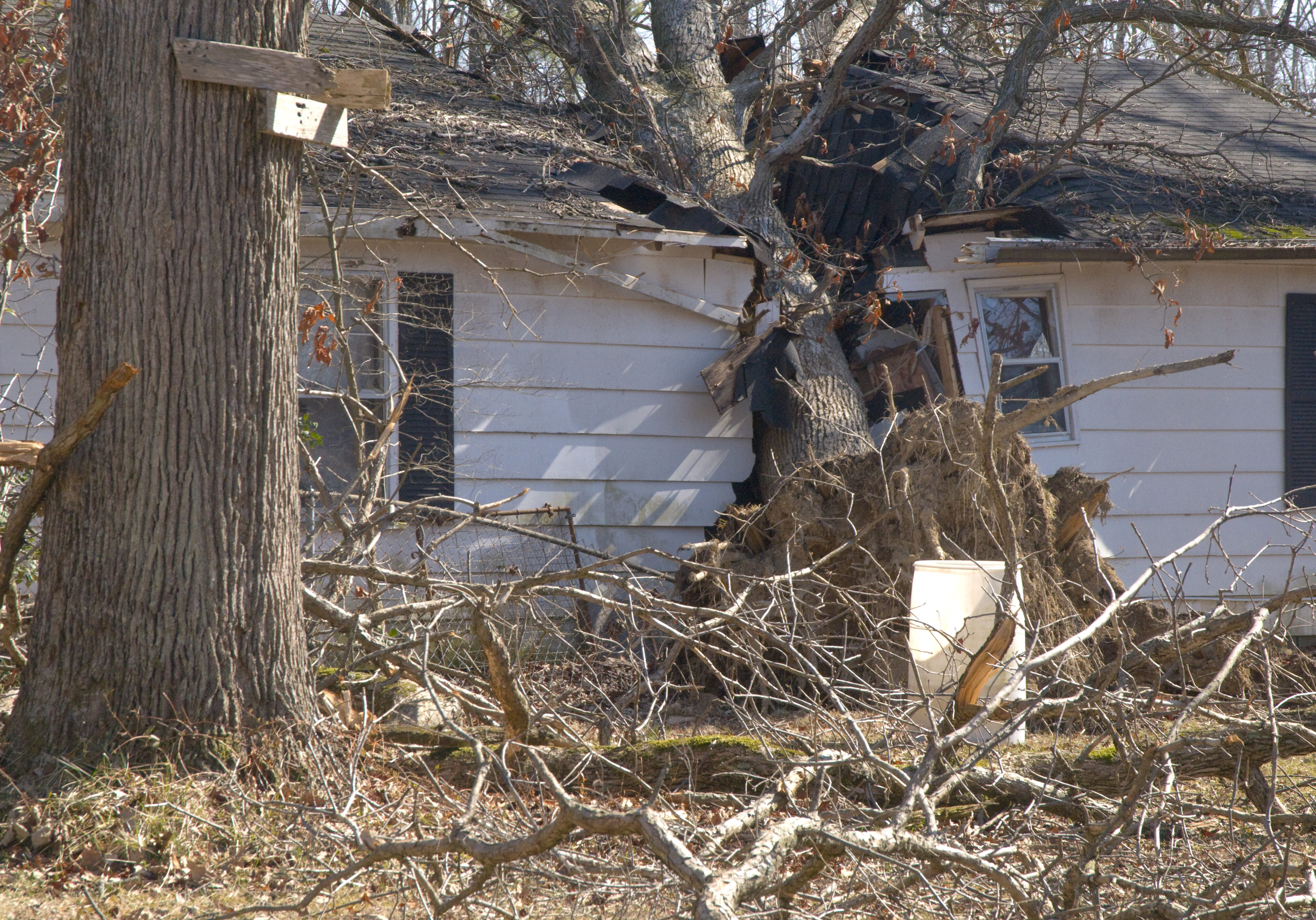 Reidland, KY, February 22, 2009 -- Tree damage was severe here after the January 27th ice storm, however, property damage was very limited. This house is one exception. Photo by Liz Roll